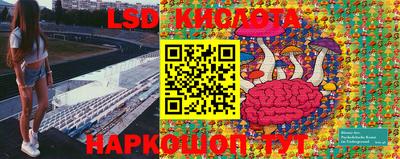 ПСИЛОЦИБИНОВЫЕ ГРИБЫ Пенза