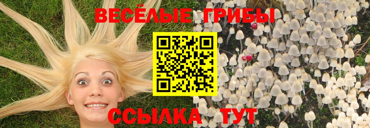 Псилоцибиновые грибы Magic Shrooms Рузаевка